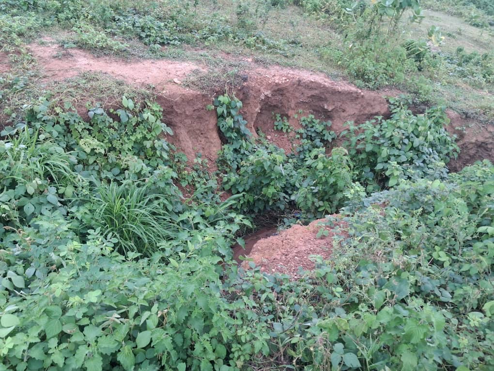 Sheda community faces worsening gully erosion crisis amid years of infrastructural neglect