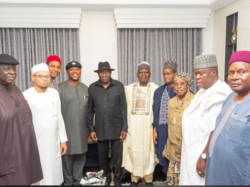 PDP still strong, resilient despite defections — Jonathan
