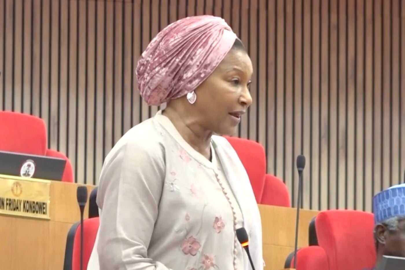 Sen Kingibe clarifies Senate did not reverse electronic transmission of election results