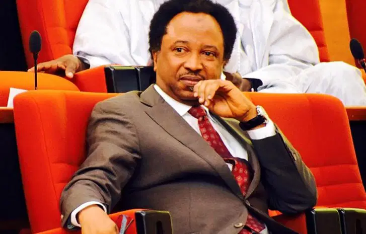 2027: Shehu Sani says Tinubu will win, downplays opposition strength