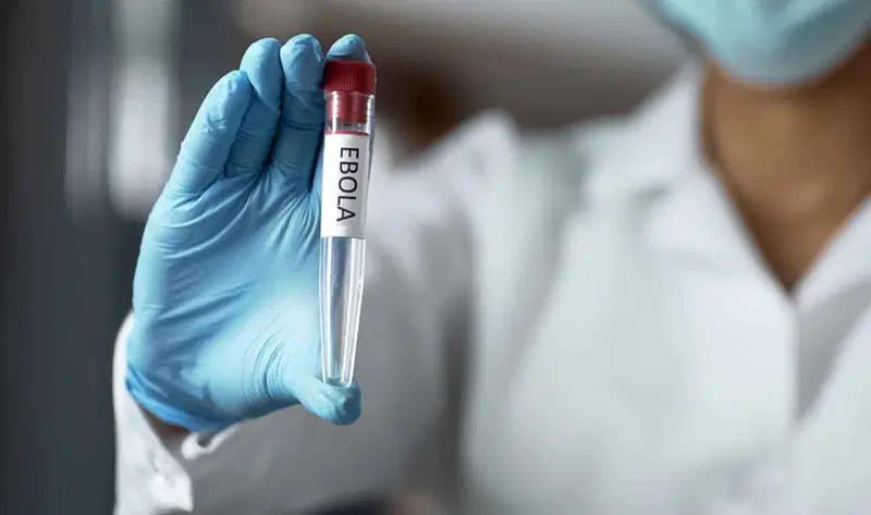 Ebola cases near 900 as Africa CDC warns of escalating outbreak in DRC, Uganda