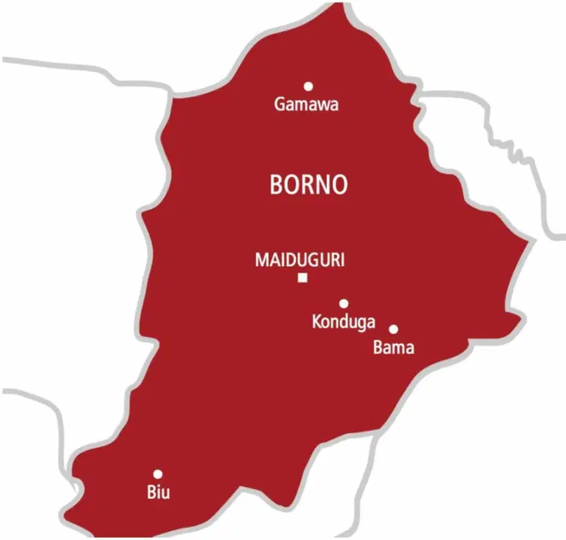 Troops foil terrorist attack on military base, rescue 21 female students in Borno