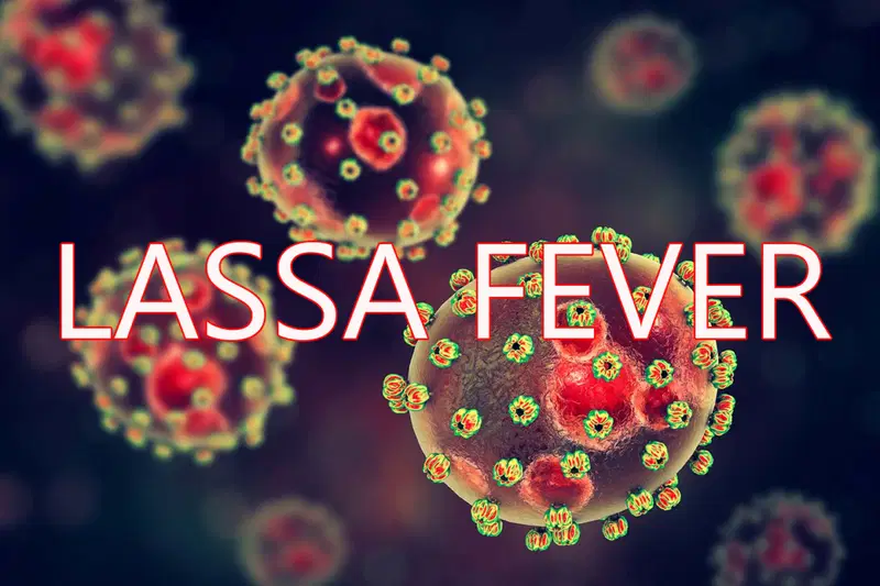 Lassa Fever death toll rises to 221 as NCDC records fresh surge in infections